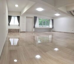 Dunearn Road (D11), Condominium #528595781